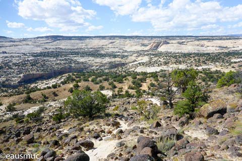 Blick in den Canyon