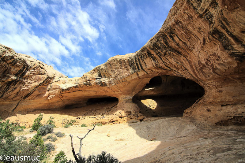 Wild Horse Window