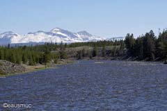 Yellowstone