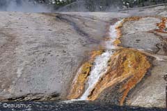 Yellowstone