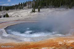 Yellowstone