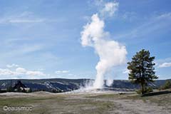 Yellowstone