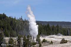 Yellowstone