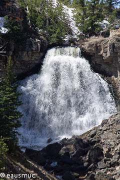 Yellowstone