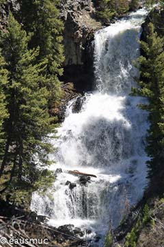 Yellowstone