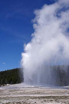 Yellowstone